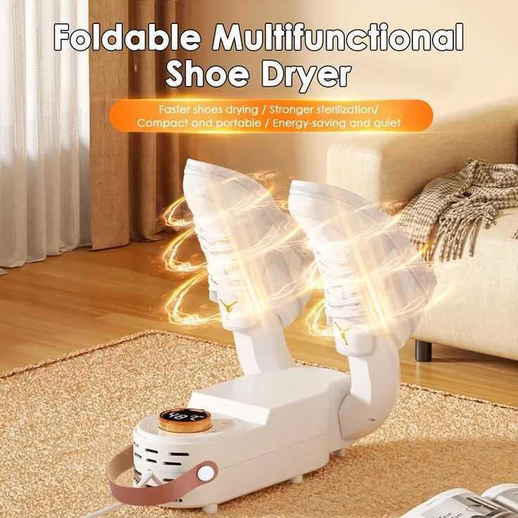 Smart Shoe Dryer Machine